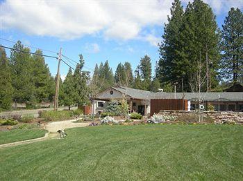 Mother Lode Motel 2*