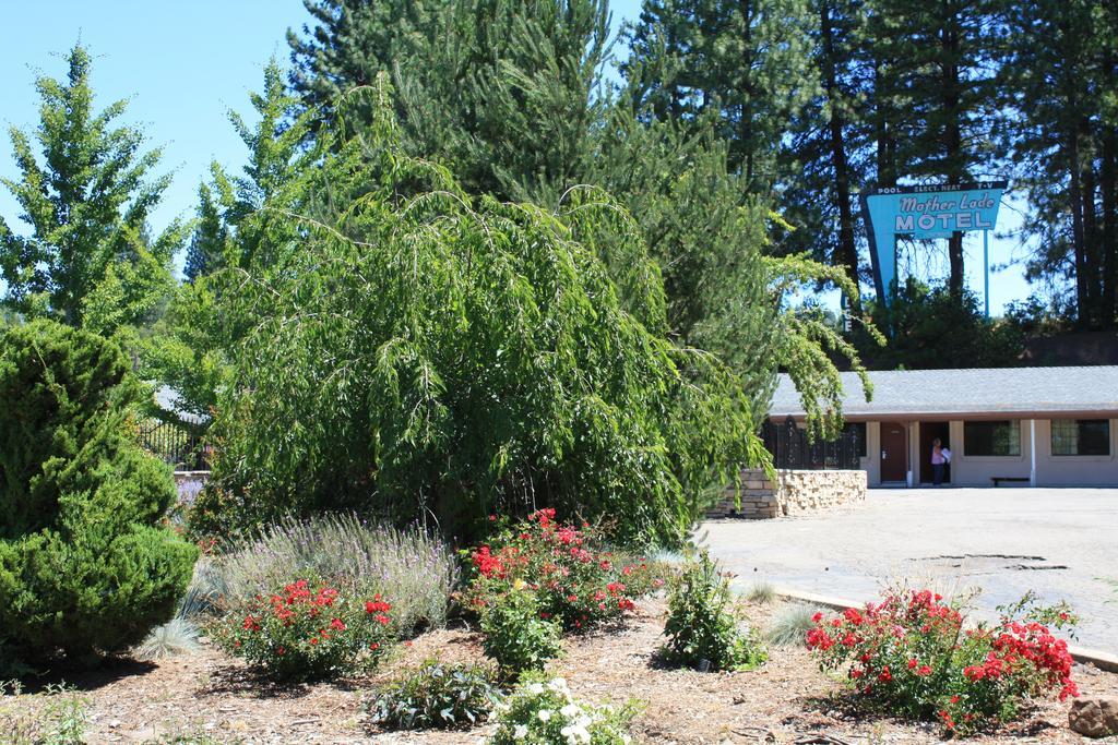 Mother Lode Placerville